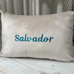 Almofada em Veludo Bordada com o NOME (EXCLUSIVA)
