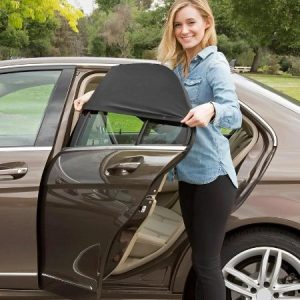 ProtectCar: Ecrã anti-insectos/viseira para vidros de automóveis